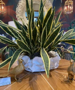 Made Goods Coco Bowl Gold Trim New Arrivals