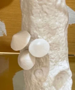 Bungalow 5 Branch Small Vase White New Arrivals 10 Bungalow 5 Branch Small Vase White New Arrivals