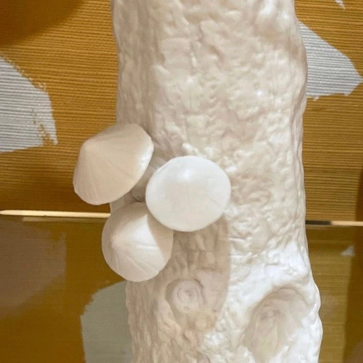 Bungalow 5 Branch Small Vase White New Arrivals 3 Bungalow 5 Branch Small Vase White New Arrivals