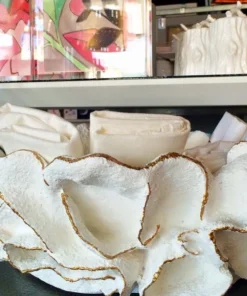 Made Goods Coco Bowl Gold Trim New Arrivals