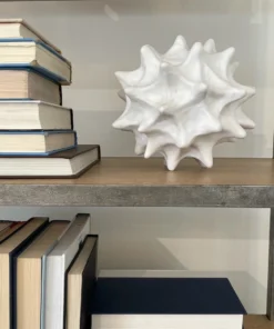 Oly Studio Copernicus Ornament