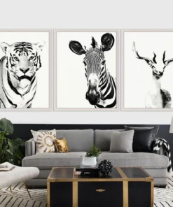 Natural Curiosities Tylinek Zebra Framed Artwork New Arrivals
