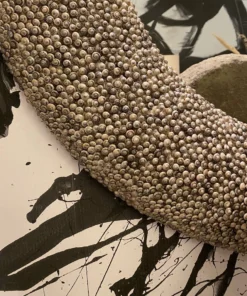 Currey And Company Batad Shell Mirror Round New Arrivals