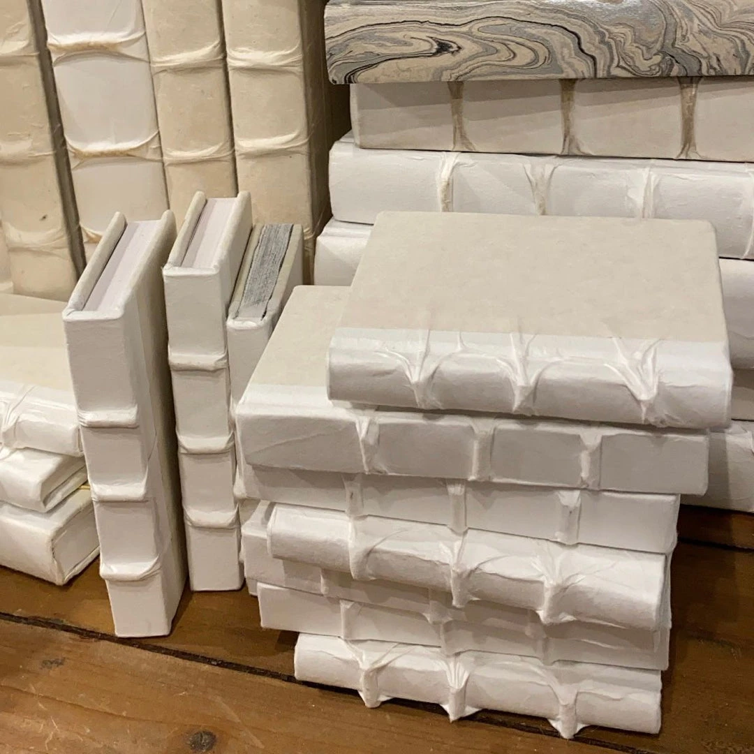 E Lawrence Antique White Parchment Minis Book Set Of 12 2 E Lawrence Antique White Parchment Minis Book Set Of 12