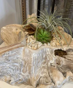 Arteriors Home Nantucket Bowl New Arrivals 10 Arteriors Home Nantucket Bowl New Arrivals