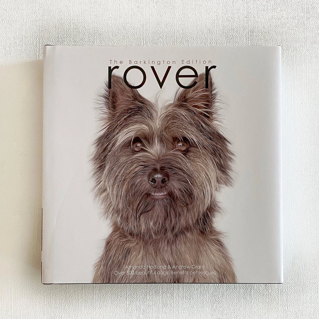 Clayton Gray Home Rover By Amanda Hedlund & Andrew Grant New Arrivals 1 Clayton Gray Home Rover By Amanda Hedlund & Andrew Grant New Arrivals