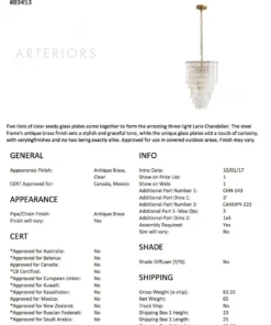 Arteriors Home Larie Chandelier