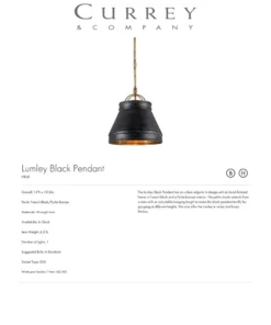 Currey And Company New Arrivals Lumley Black Pendant