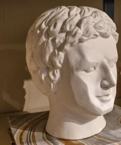 Made Goods New Arrivals Giuseppe Bust 13 Made Goods New Arrivals Giuseppe Bust