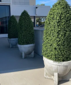 Made Goods Flavia Concrete Planter