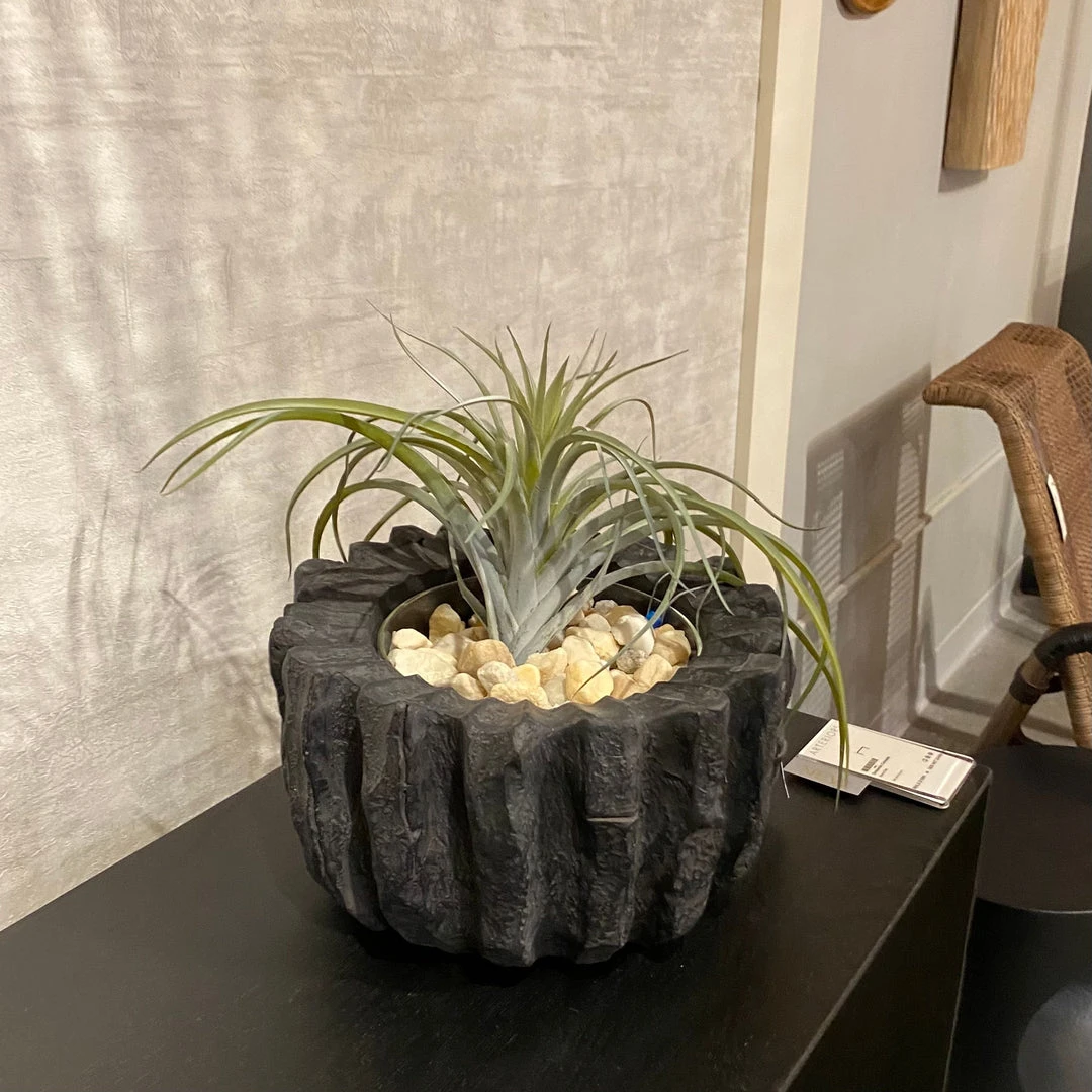 Arteriors Home New Arrivals Mangrove Centerpiece 3 Arteriors Home New Arrivals Mangrove Centerpiece