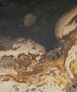 Arteriors Home Vesper Sculptures Set Of Three 23 Arteriors Home Vesper Sculptures Set Of Three