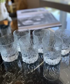 Blue Pheasant New Arrivals Harmon Tumbler Clear Set Of 6