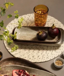 Blue Pheasant New Arrivals Dexter Serving Trays Set