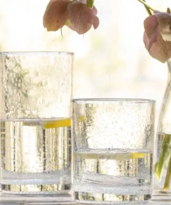 Blue Pheasant New Arrivals Quinn Clear Glass Highball Set Of 6