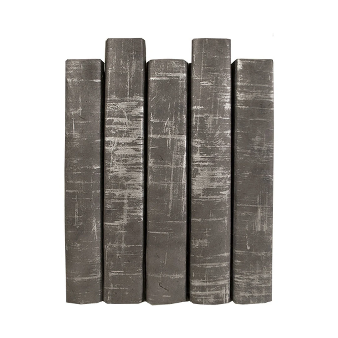 E Lawrence New Arrivals Brushed Silver On Gray Book Set Of 5 1 E Lawrence New Arrivals Brushed Silver On Gray Book Set Of 5