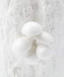 Bungalow 5 Branch Small Vase White New Arrivals 13 Bungalow 5 Branch Small Vase White New Arrivals