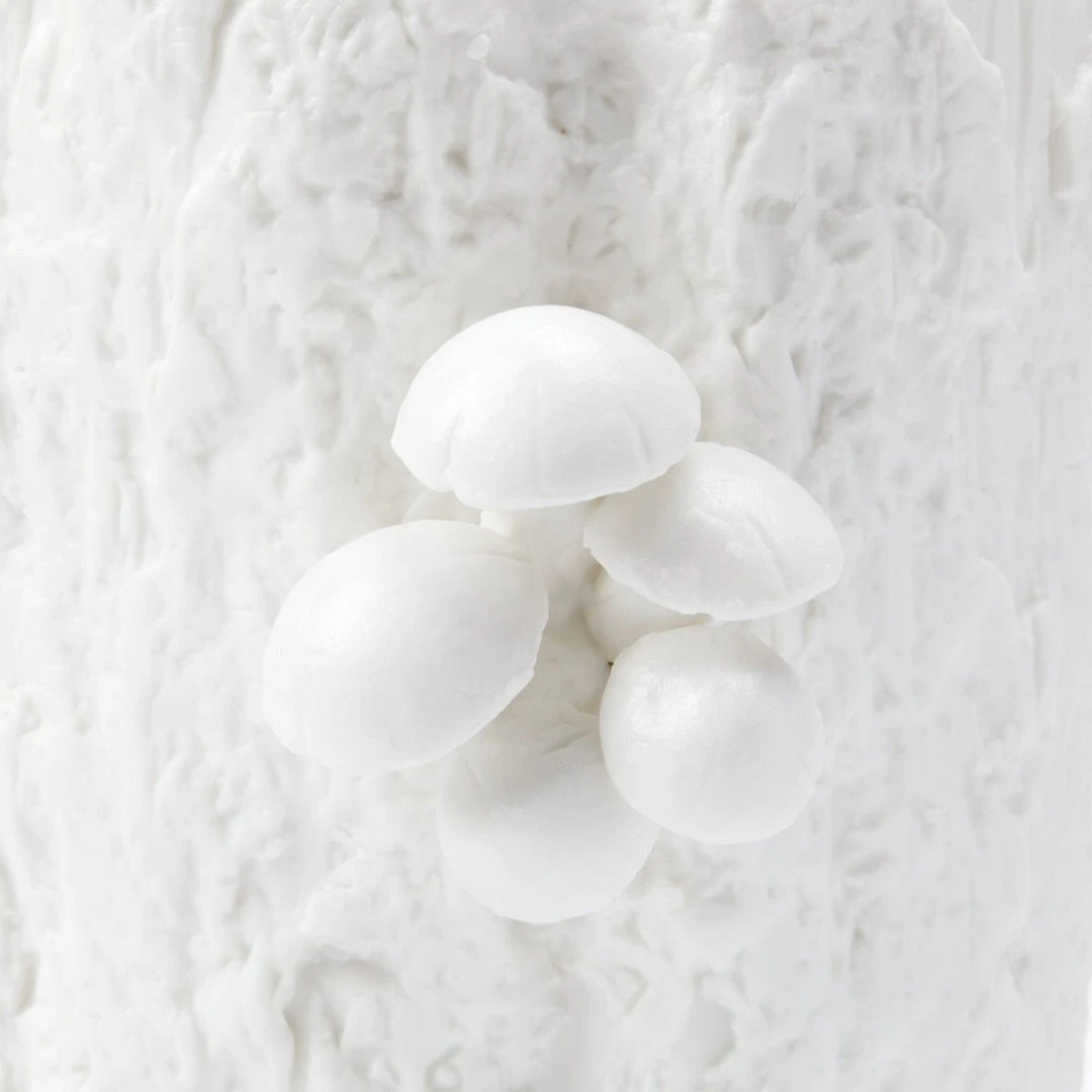 Bungalow 5 Branch Small Vase White New Arrivals 6 Bungalow 5 Branch Small Vase White New Arrivals