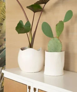 Bungalow 5 New Arrivals Cambria Vase