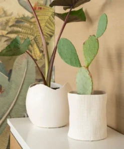 Bungalow 5 New Arrivals Cambria Vase