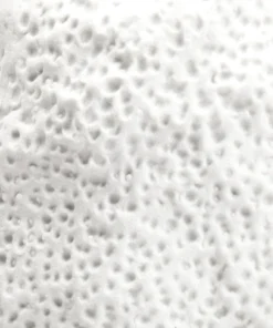 Bungalow 5 Ciara Large Vase White New Arrivals