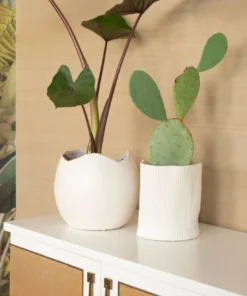 Bungalow 5 Corum Cache Pot