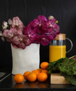 Bungalow 5 Corum Cache Pot