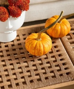 Bungalow 5 Dylan Bench Natural 14 Bungalow 5 Dylan Bench Natural