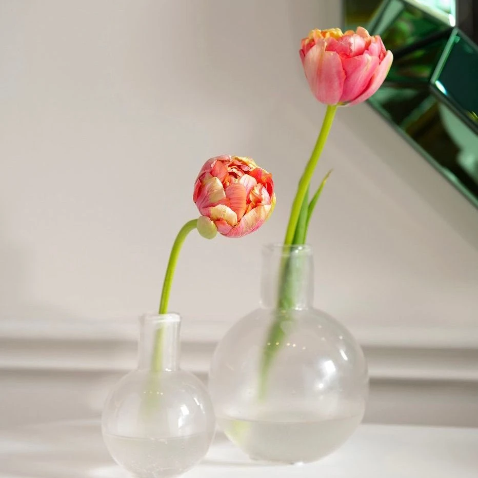 Bungalow 5 New Arrivals Giorgio Vase Clear 3 Bungalow 5 New Arrivals Giorgio Vase Clear