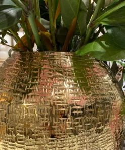 Bungalow 5 New Arrivals Mali Medium Cache Pot Brass 10 Bungalow 5 New Arrivals Mali Medium Cache Pot Brass