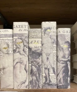 E Lawrence New Arrivals Gold Redaction Off White Book Set Of 5 5 E Lawrence New Arrivals Gold Redaction Off White Book Set Of 5