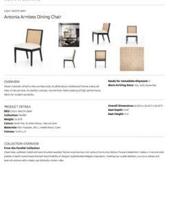 Four Hands Antonia Cane Armless Dining Chair Brushed Ebony New Arrivals