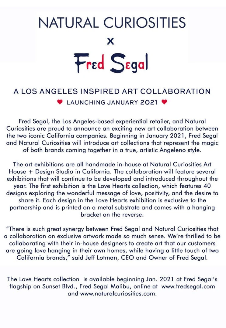 Natural Curiosities Palm Springs Golden Palms 5 Natural Curiosities Palm Springs Golden Palms