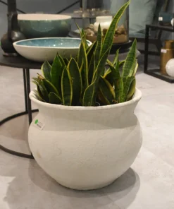 Jamie Young Ashen Cauldron New Arrivals