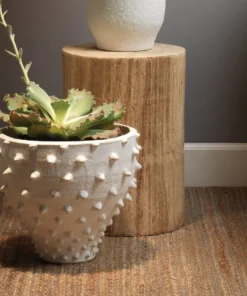 Jamie Young Agave Side Table