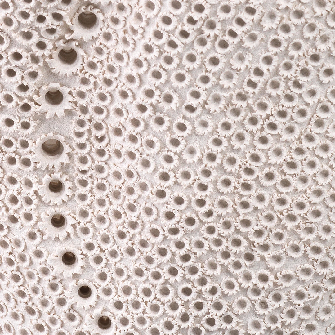 Jamie Young Eclipse Vase New Arrivals 6 Jamie Young Eclipse Vase New Arrivals