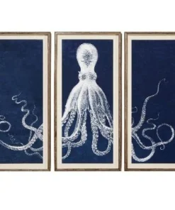 Natural Curiosities Lord Bodner Triptych In Blue Framed Artwork