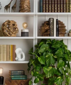 Made Goods Baylor Bookends Light Stain Mango Wood New Arrivals