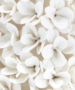 Bungalow 5 Boston Round Boxwood Topiary New Arrivals