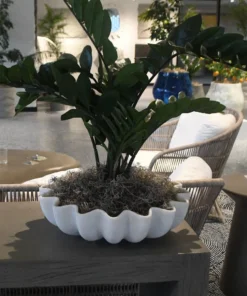 Made Goods Darci Marble Bowl Wide Low