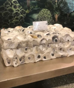 Made Goods Cove Box Set Oyster Shells 8 Made Goods Cove Box Set Oyster Shells