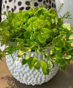 Made Goods Feri Vase Set Of Two