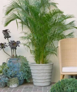 Made Goods Gerard Planter New Arrivals