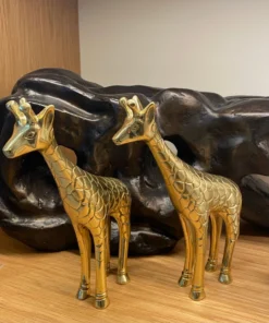 Made Goods Jennifer Object Set 12 Made Goods Jennifer Object Set