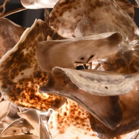 Made Goods Venus Chandelier Natural Saddle 7 Made Goods Venus Chandelier Natural Saddle