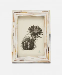 Pigeon And Poodle New Arrivals Winslow Frame Natural Mix Horn