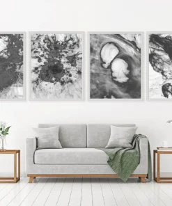 Natural Curiosities New Arrivals Black And White Ink And Water Framed Artwork No. 21