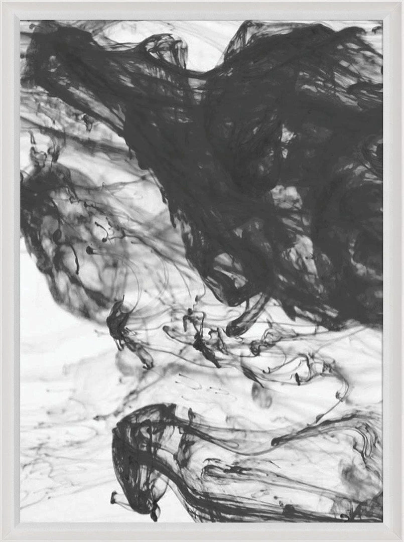 Natural Curiosities New Arrivals Black And White Ink And Water Framed Artwork No. 21 1 Natural Curiosities New Arrivals Black And White Ink And Water Framed Artwork No. 21