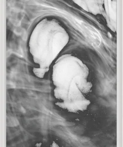 Natural Curiosities New Arrivals Black And White Ink And Water Framed Artwork No. 4