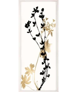 Natural Curiosities Black And White Herbarium 2 Framed Artwork